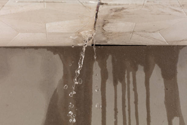Professional Structural Drying technician working in Lakewood, OH